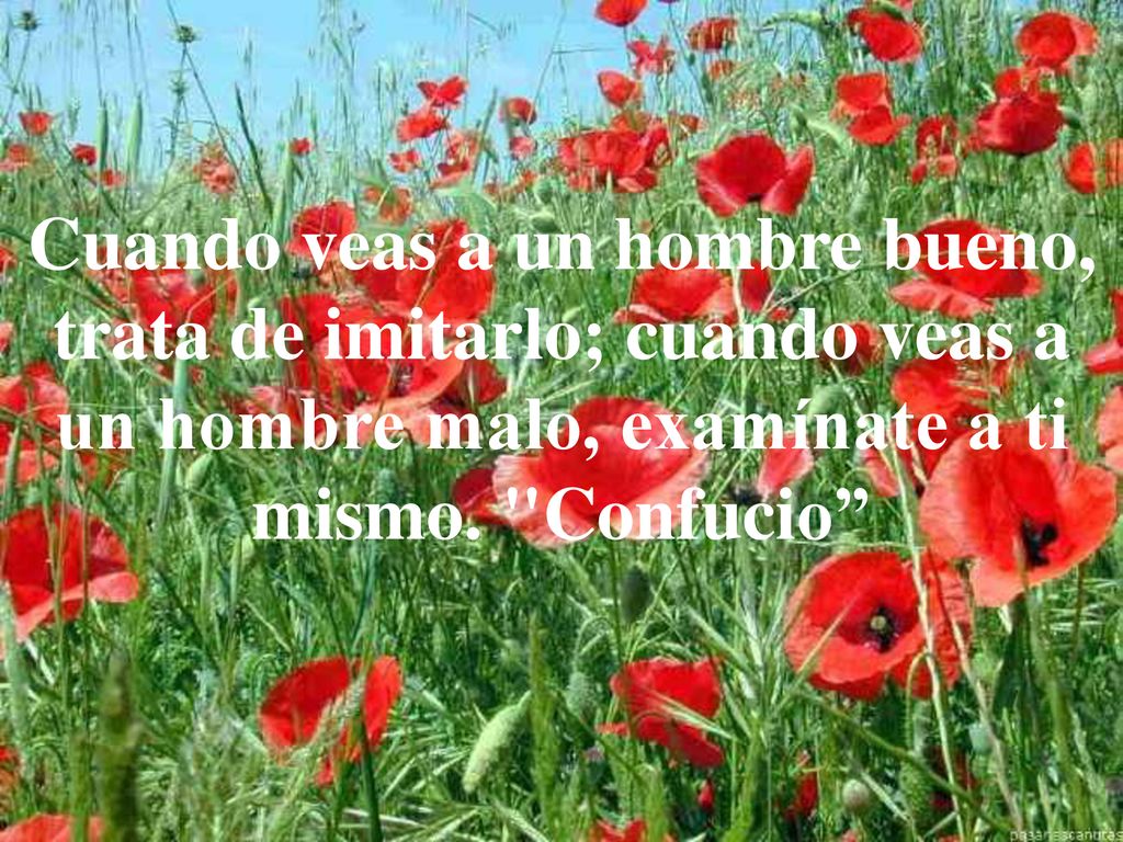 Cuando veas a un hombre bueno, trata de imitarlo; cuando veas a un hombre malo, examínate a ti mismo.