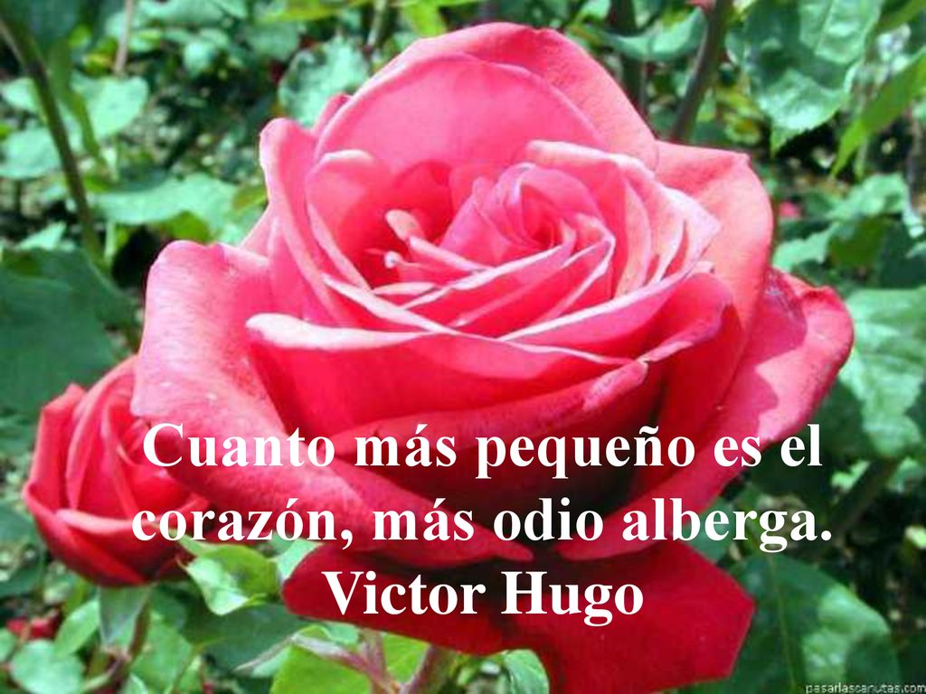 Cuanto más pequeño es el corazón, más odio alberga. Victor Hugo