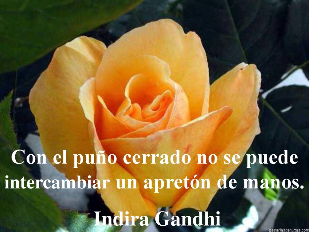 Con el puño cerrado no se puede intercambiar un apretón de manos.