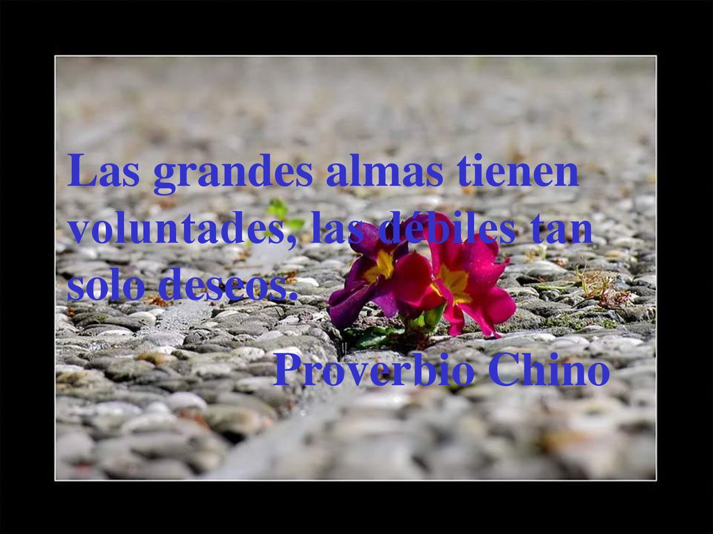 Las grandes almas tienen voluntades, las débiles tan solo deseos.