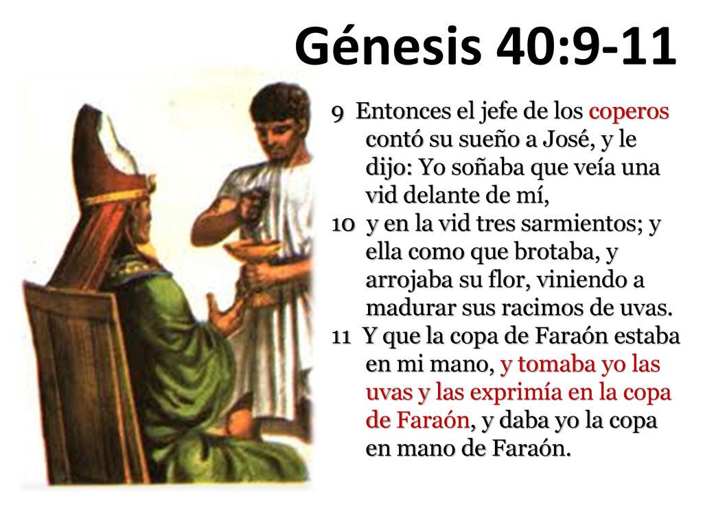 Génesis 40: Entonces el jefe de los coperos contó su sueño a José, y le dijo: Yo soñaba que veía una vid delante de mí,
