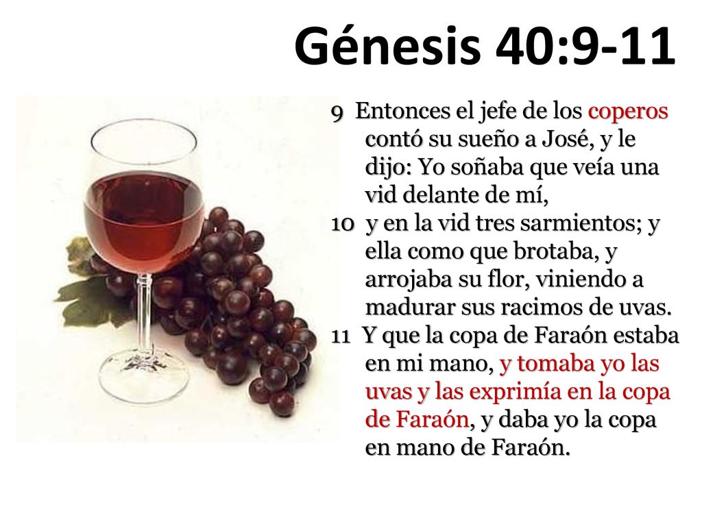 Génesis 40: Entonces el jefe de los coperos contó su sueño a José, y le dijo: Yo soñaba que veía una vid delante de mí,