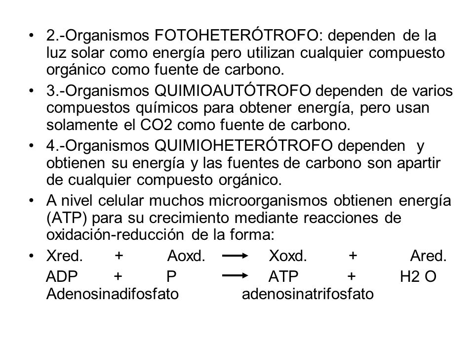 2.-Organismos FOTOHETERÓTROFO: dependen de la luz solar como energía pero utilizan cualquier compuesto orgánico como fuente de carbono.