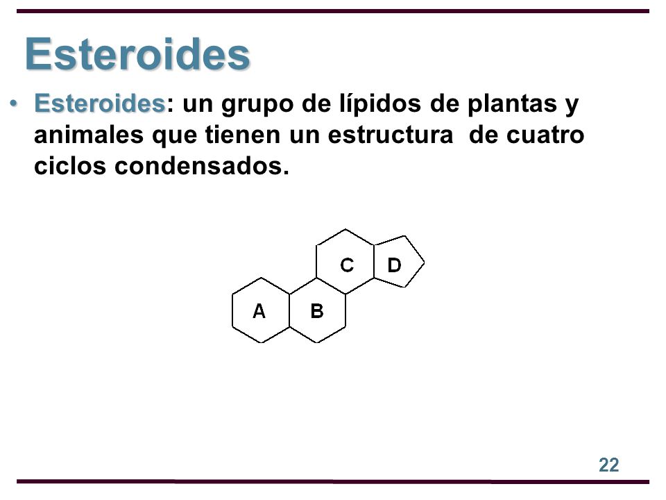 Esteroides Esteroides: un grupo de lípidos de plantas y animales que tienen un estructura de cuatro ciclos condensados.