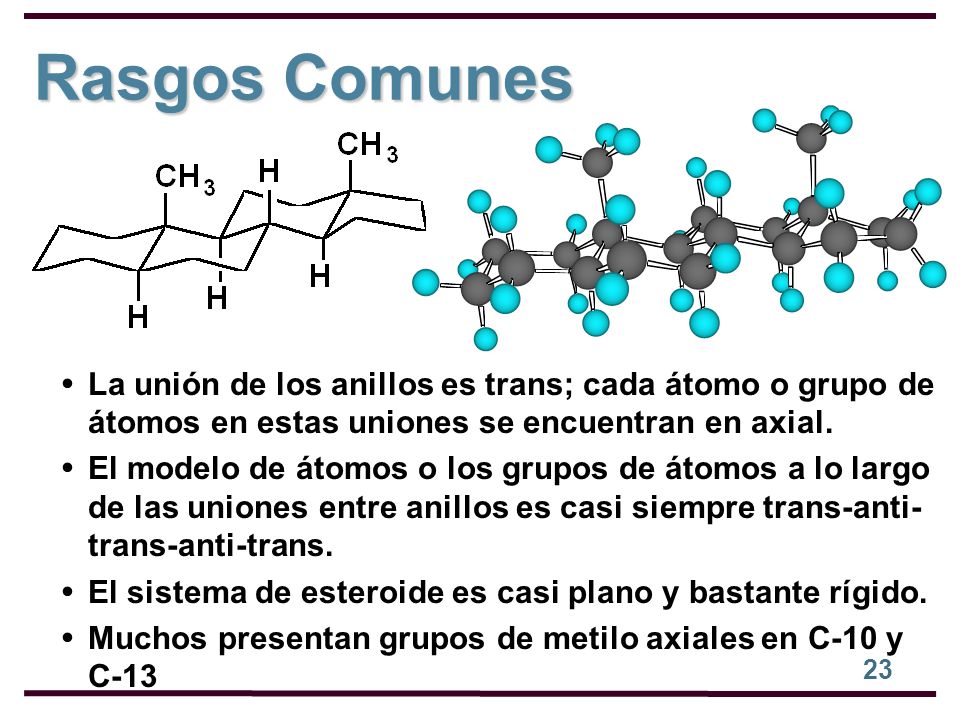 Rasgos Comunes La unión de los anillos es trans; cada átomo o grupo de átomos en estas uniones se encuentran en axial.