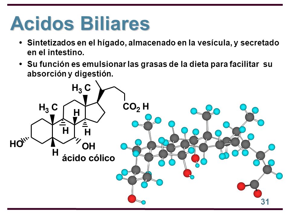 Acidos Biliares H C H C CO H H H H HO OH H ácido cólico