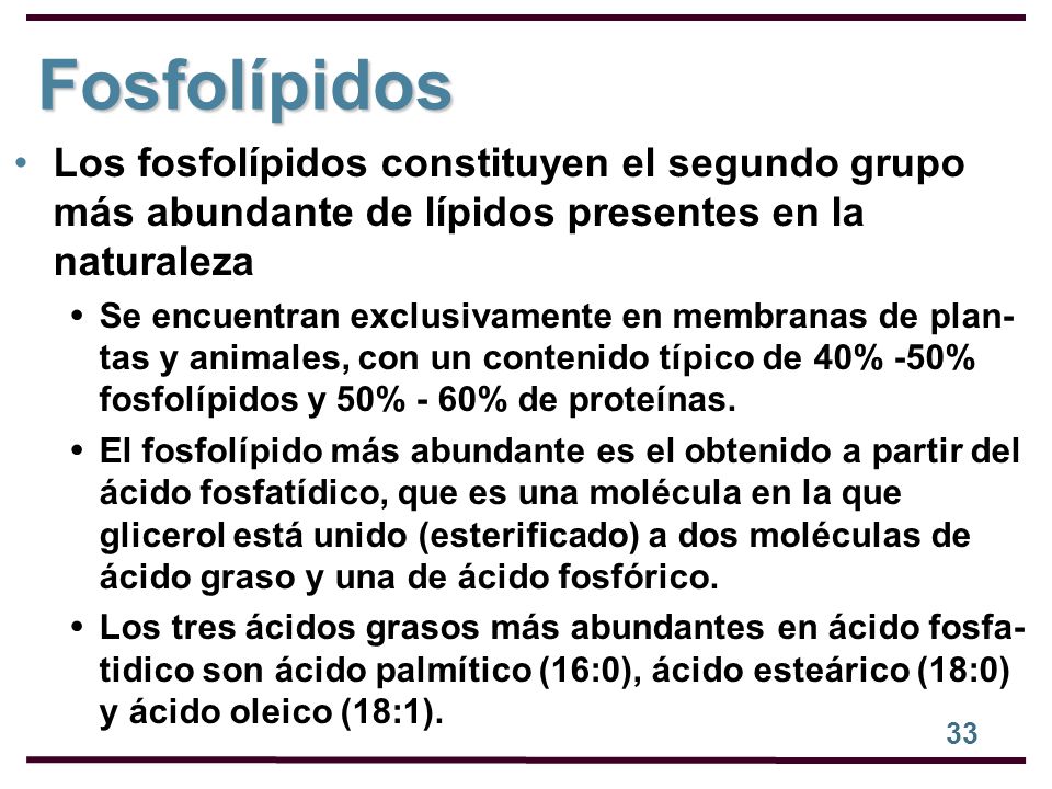 Fosfolípidos Los fosfolípidos constituyen el segundo grupo más abundante de lípidos presentes en la naturaleza.