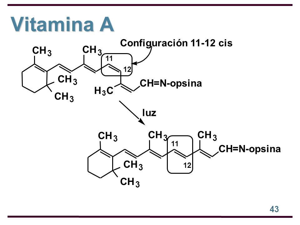 Vitamina A Configuración cis CH CH CH CH=N-opsina H C CH luz CH