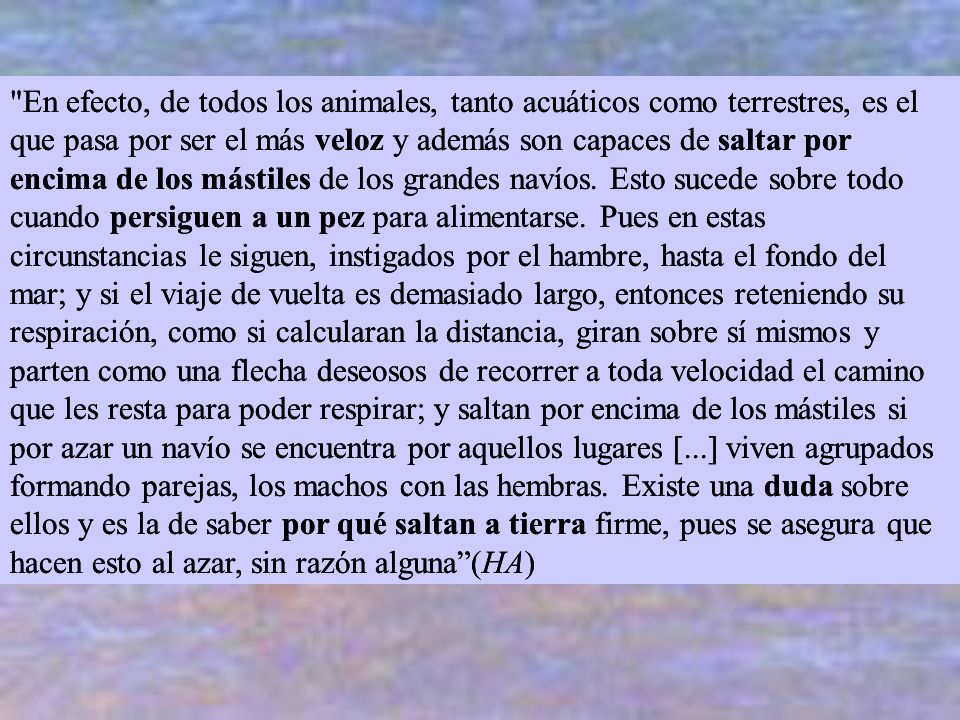 En efecto, de todos los animales, tanto acuáticos como terrestres, es el que pasa por ser el más veloz y además son capaces de saltar por encima de los mástiles de los grandes navíos. Esto sucede sobre todo cuando persiguen a un pez para alimentarse. Pues en estas circunstancias le siguen, instigados por el hambre, hasta el fondo del mar; y si el viaje de vuelta es demasiado largo, entonces reteniendo su respiración, como si calcularan la distancia, giran sobre sí mismos y parten como una flecha deseosos de recorrer a toda velocidad el camino que les resta para poder respirar; y saltan por encima de los mástiles si por azar un navío se encuentra por aquellos lugares [...] viven agrupados formando parejas, los machos con las hembras. Existe una duda sobre ellos y es la de saber por qué saltan a tierra firme, pues se asegura que hacen esto al azar, sin razón alguna (HA)