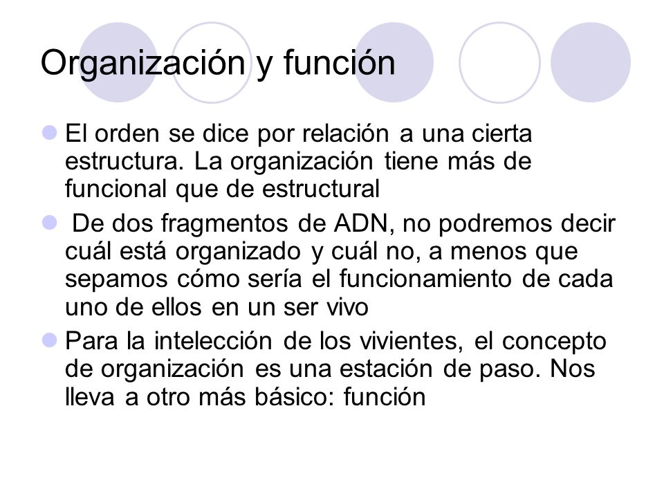 Organización y función