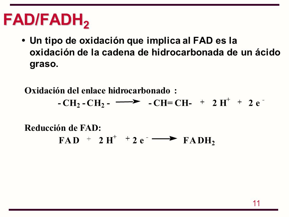 FAD/FADH2 Un tipo de oxidación que implica al FAD es la oxidación de la cadena de hidrocarbonada de un ácido graso.