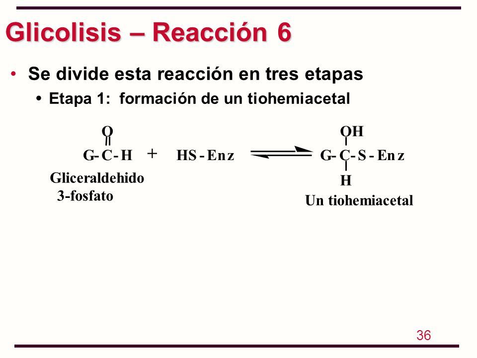 Glicolisis – Reacción 6 Se divide esta reacción en tres etapas +