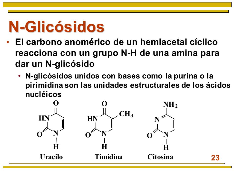 N-Glicósidos El carbono anomérico de un hemiacetal cíclico reacciona con un grupo N-H de una amina para dar un N-glicósido.