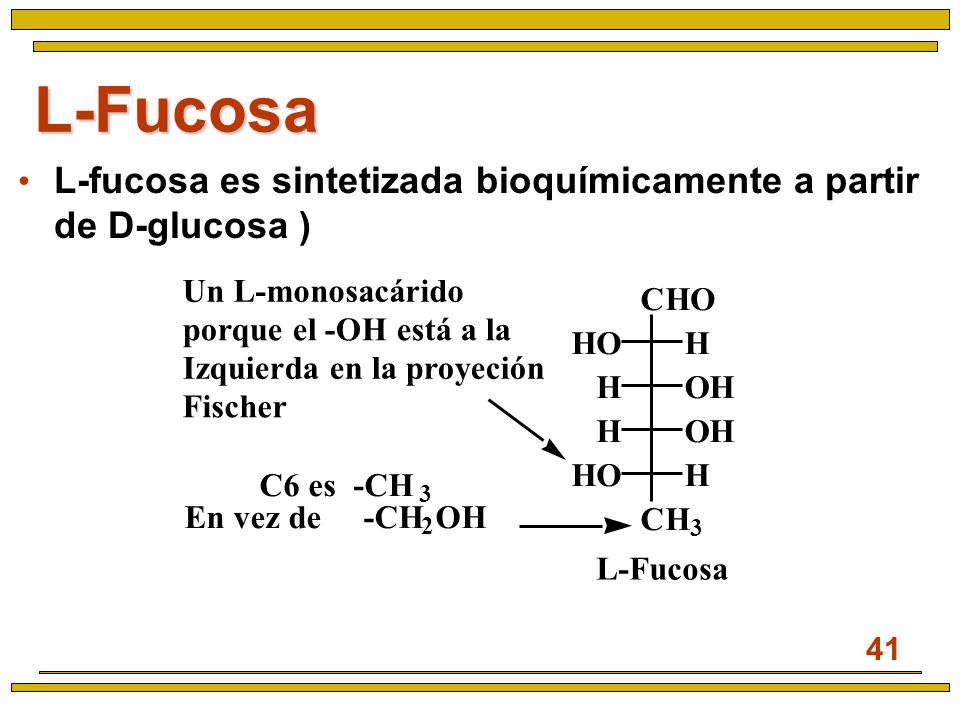 L-Fucosa L-fucosa es sintetizada bioquímicamente a partir de D-glucosa )‏ Un L-monosacárido. porque el -OH está a la.