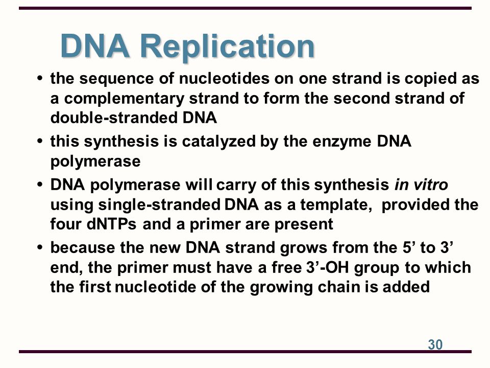 DNA Replication the sequence of nucleotides on one strand is copied as a complementary strand to form the second strand of double-stranded DNA.