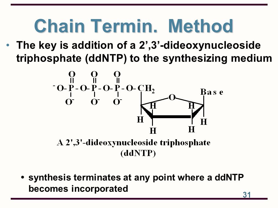 Chain Termin. Method The key is addition of a 2’,3’-dideoxynucleoside triphosphate (ddNTP) to the synthesizing medium.