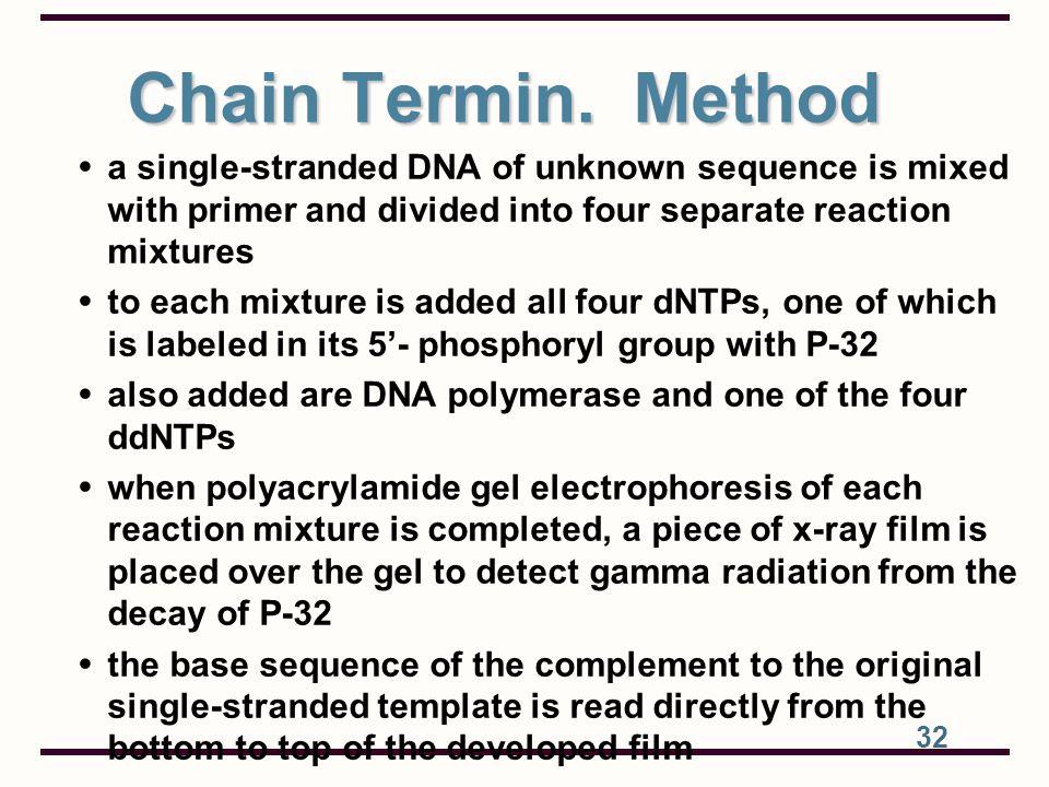 Chain Termin. Method a single-stranded DNA of unknown sequence is mixed with primer and divided into four separate reaction mixtures.