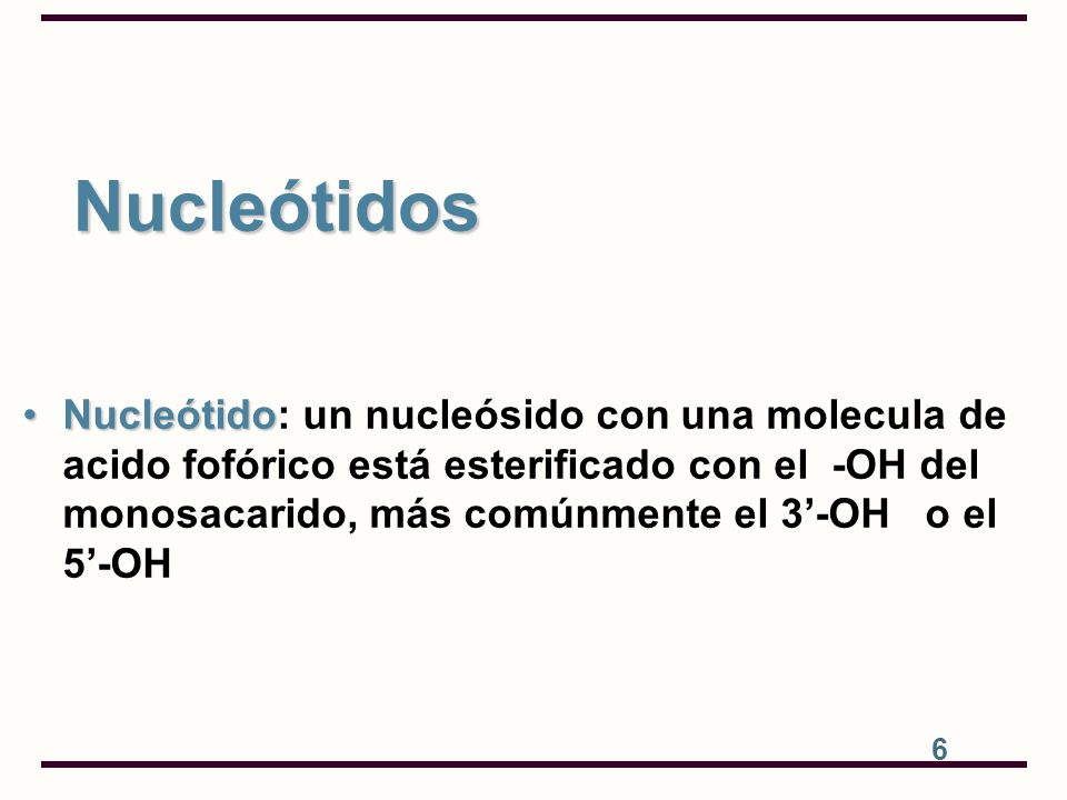 Nucleótido: un nucleósido con una molecula de acido fofórico está esterificado con el -OH del monosacarido, más comúnmente el 3’-OH o el 5’-OH