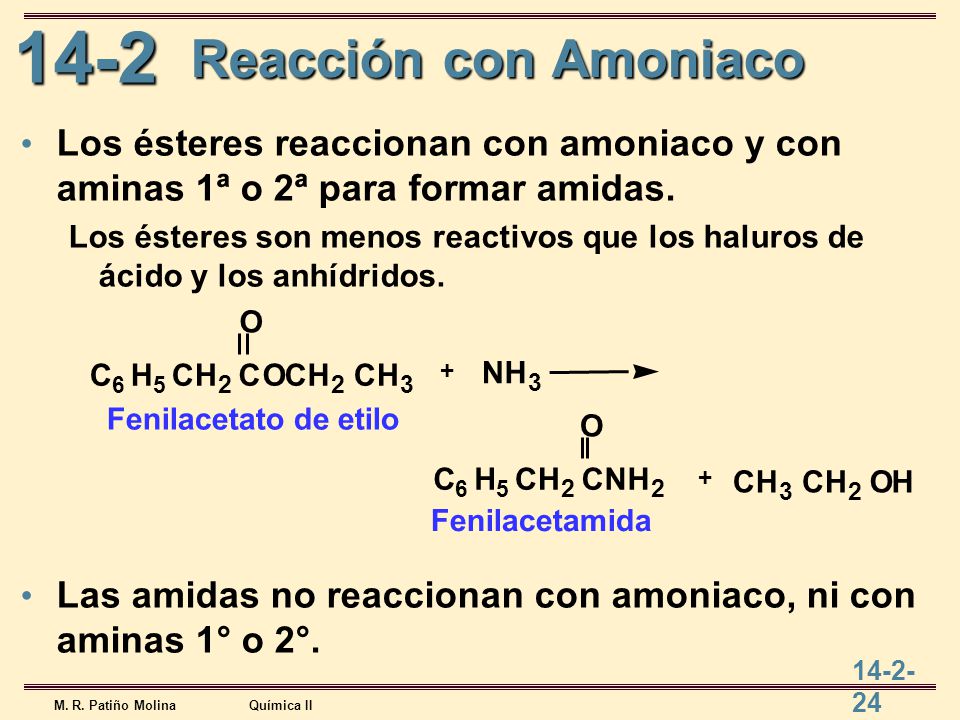 Reacción con Amoniaco Los ésteres reaccionan con amoniaco y con aminas 1ª o 2ª para formar amidas.