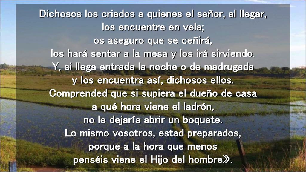 Dichosos los criados a quienes el señor, al llegar, los encuentre en vela; os aseguro que se ceñirá, los hará sentar a la mesa y los irá sirviendo.