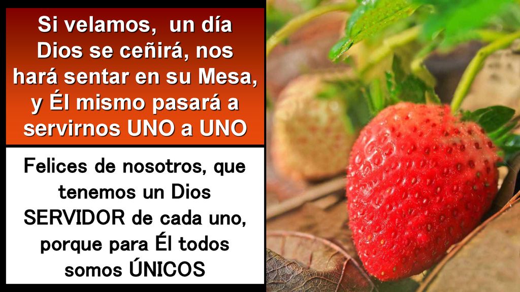 Si velamos, un día Dios se ceñirá, nos hará sentar en su Mesa, y Él mismo pasará a servirnos UNO a UNO
