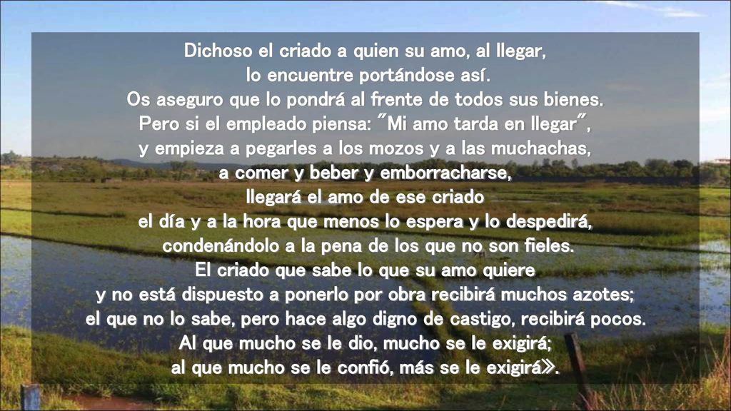 Dichoso el criado a quien su amo, al llegar, lo encuentre portándose así.