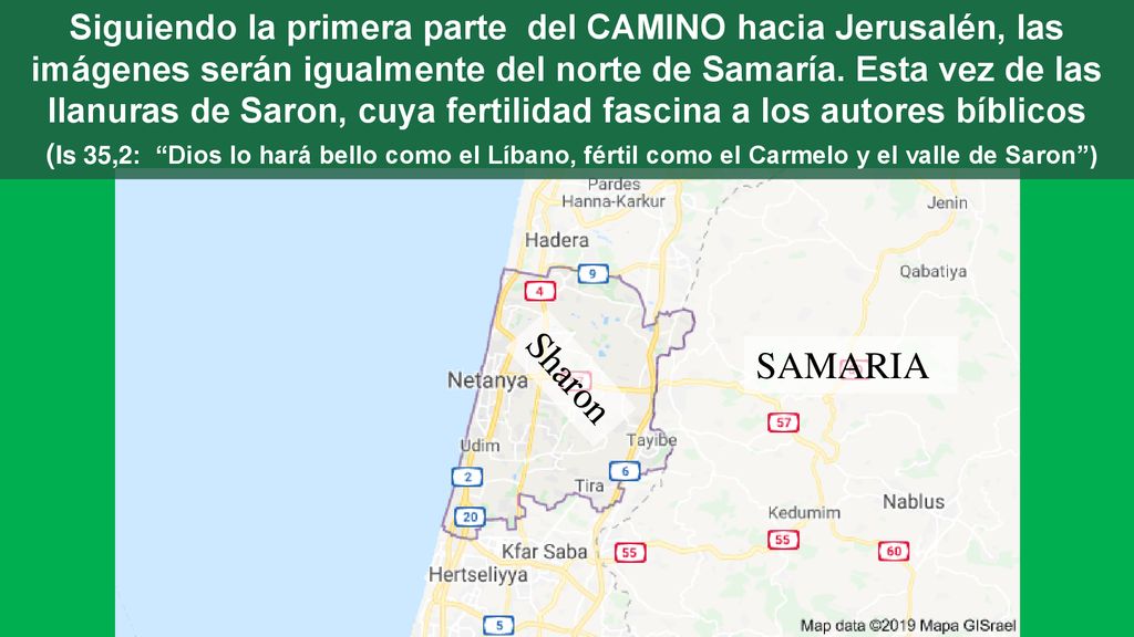 Siguiendo la primera parte del CAMINO hacia Jerusalén, las imágenes serán igualmente del norte de Samaría. Esta vez de las llanuras de Saron, cuya fertilidad fascina a los autores bíblicos