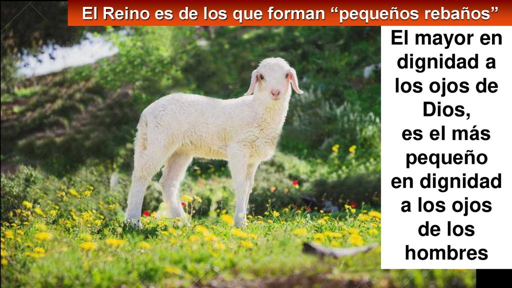El mayor en dignidad a los ojos de Dios,