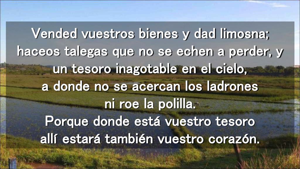 Vended vuestros bienes y dad limosna; haceos talegas que no se echen a perder, y un tesoro inagotable en el cielo, a donde no se acercan los ladrones ni roe la polilla.