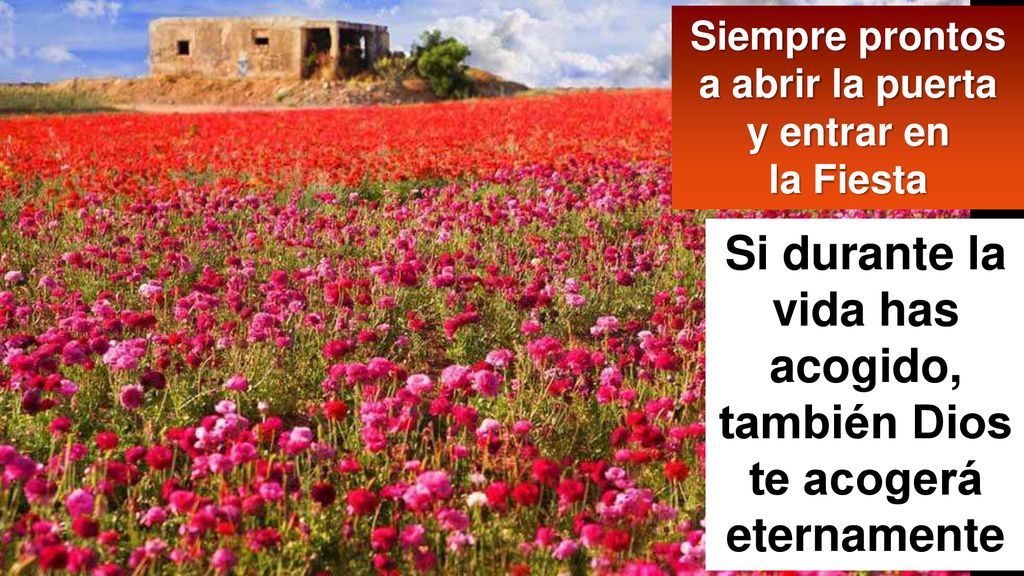 Si durante la vida has acogido, también Dios te acogerá eternamente