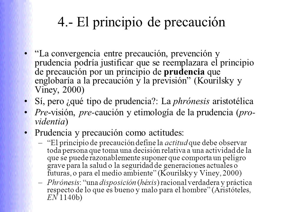 4.- El principio de precaución