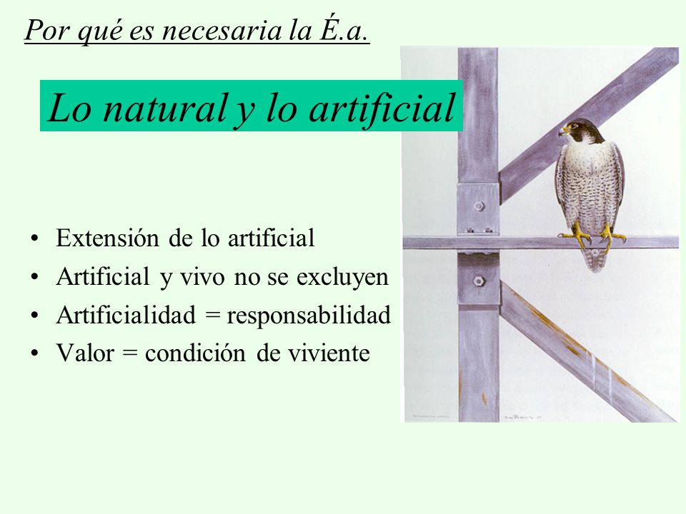 Lo natural y lo artificial