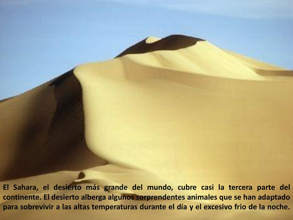 El Sahara, el desierto más grande del mundo, cubre casi la tercera parte del continente.