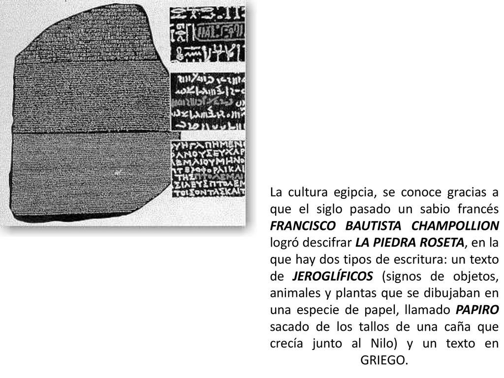 La cultura egipcia, se conoce gracias a que el siglo pasado un sabio francés FRANCISCO BAUTISTA CHAMPOLLION logró descifrar LA PIEDRA ROSETA, en la que hay dos tipos de escritura: un texto de JEROGLÍFICOS (signos de objetos, animales y plantas que se dibujaban en una especie de papel, llamado PAPIRO sacado de los tallos de una caña que crecía junto al Nilo) y un texto en GRIEGO.
