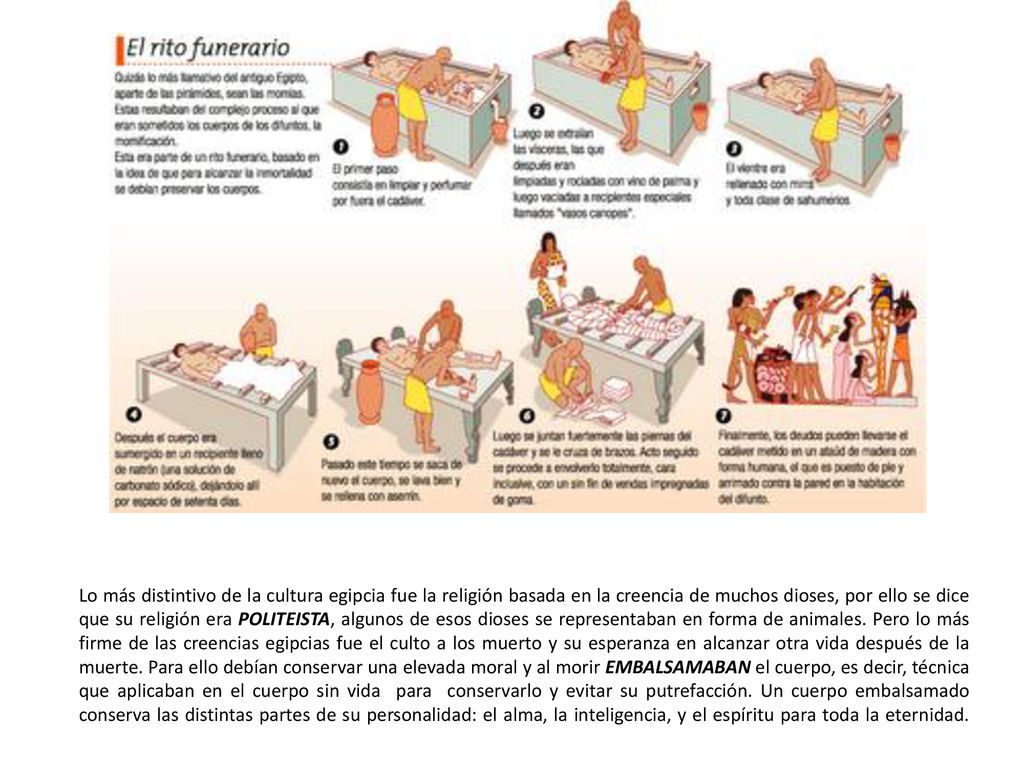Lo más distintivo de la cultura egipcia fue la religión basada en la creencia de muchos dioses, por ello se dice que su religión era POLITEISTA, algunos de esos dioses se representaban en forma de animales.