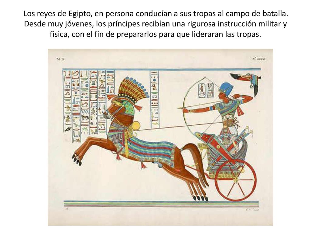 Los reyes de Egipto, en persona conducían a sus tropas al campo de batalla.