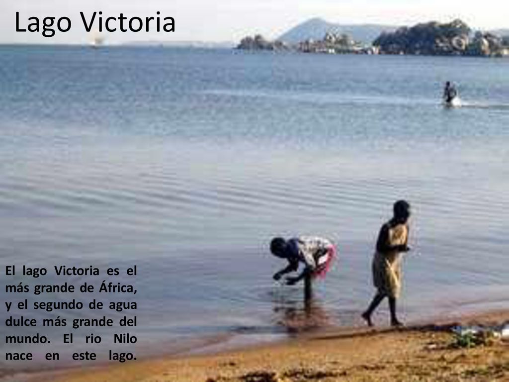 Lago Victoria El lago Victoria es el más grande de África, y el segundo de agua dulce más grande del mundo.