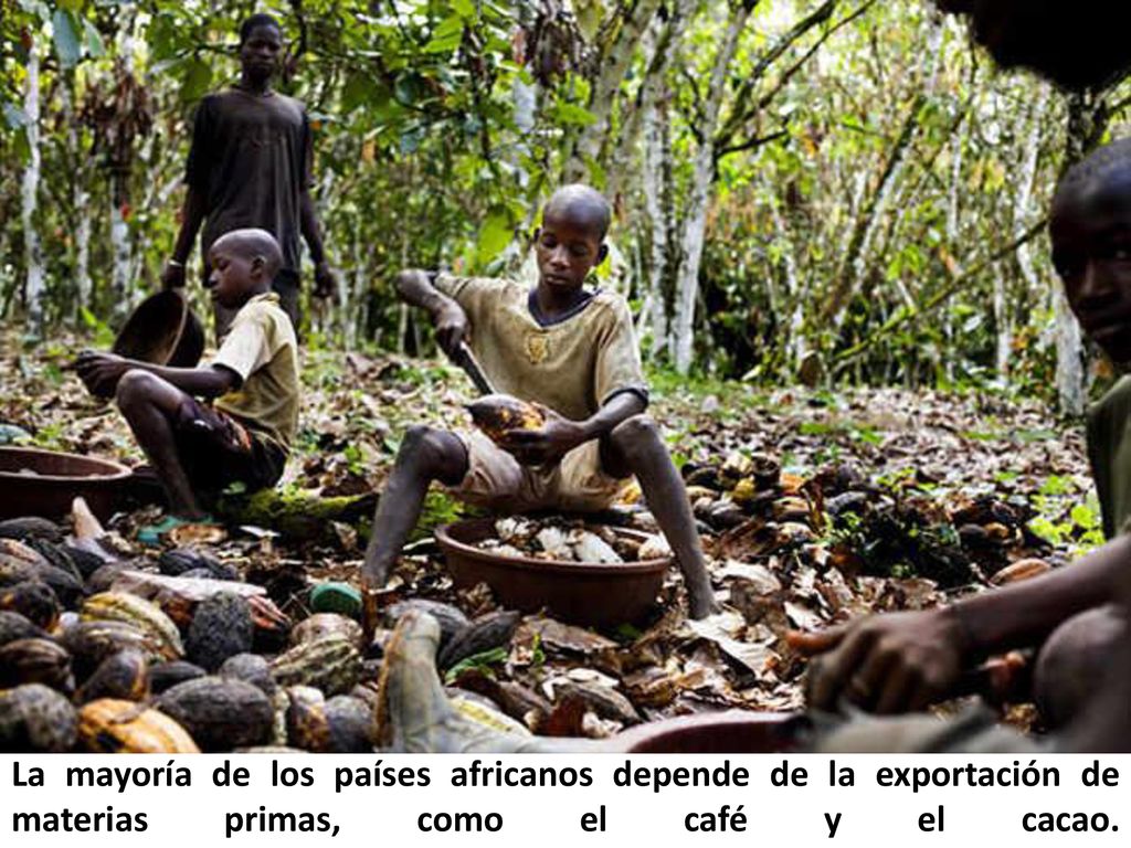 La mayoría de los países africanos depende de la exportación de materias primas, como el café y el cacao.