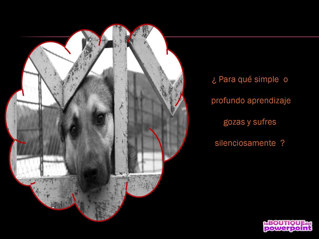 ¿ Para qué simple o profundo aprendizaje gozas y sufres silenciosamente
