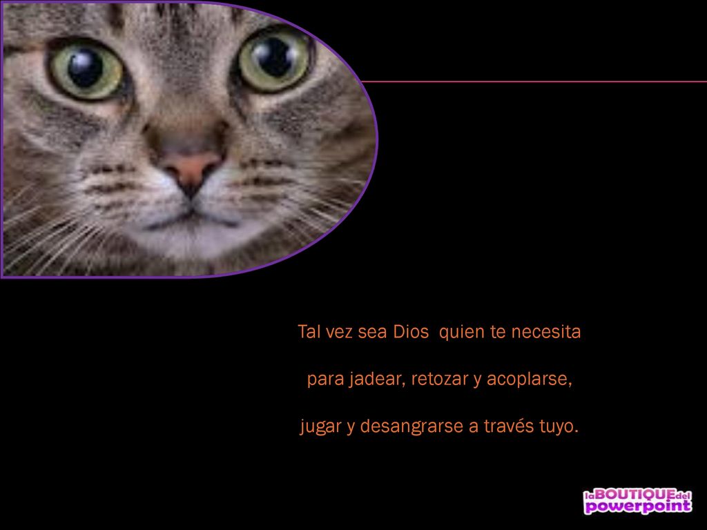 Tal vez sea Dios quien te necesita para jadear, retozar y acoplarse,