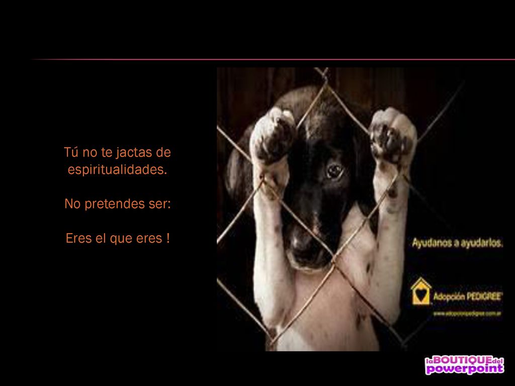 Tú no te jactas de espiritualidades. No pretendes ser: Eres el que eres !