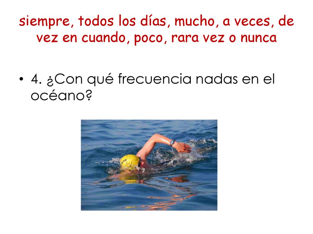 siempre, todos los días, mucho, a veces, de vez en cuando, poco, rara vez o nunca