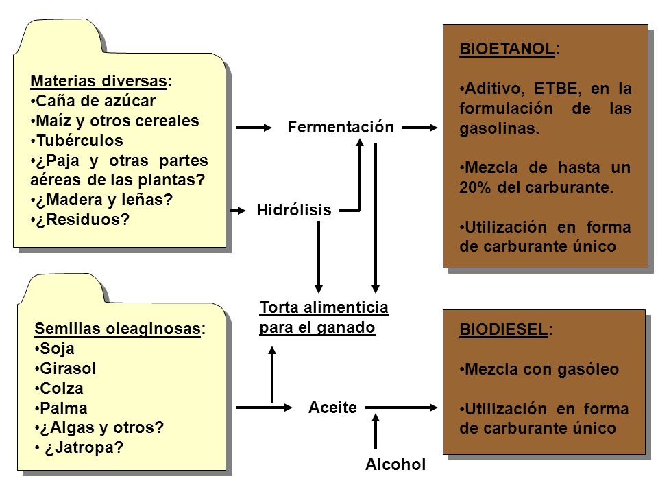 Materias diversas: Caña de azúcar. Maíz y otros cereales. Tubérculos. ¿Paja y otras partes aéreas de las plantas