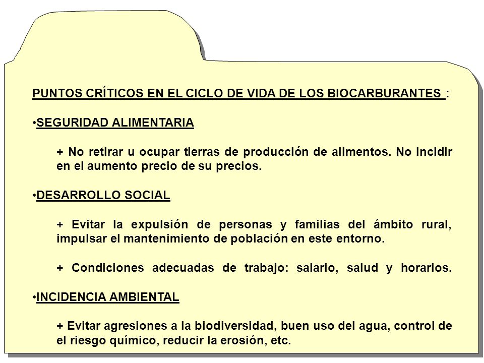 PUNTOS CRÍTICOS EN EL CICLO DE VIDA DE LOS BIOCARBURANTES :