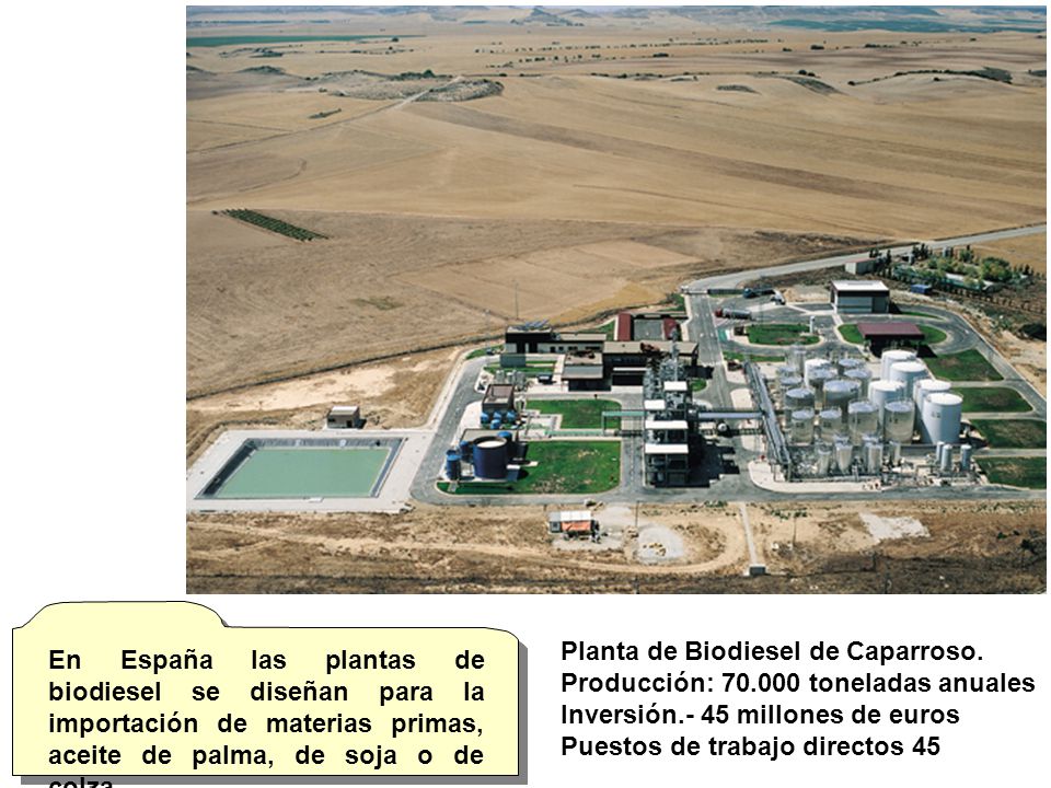 En España las plantas de biodiesel se diseñan para la importación de materias primas, aceite de palma, de soja o de colza.