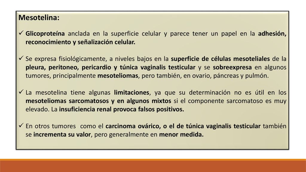 Mesotelina: Glicoproteína anclada en la superficie celular y parece tener un papel en la adhesión, reconocimiento y señalización celular.