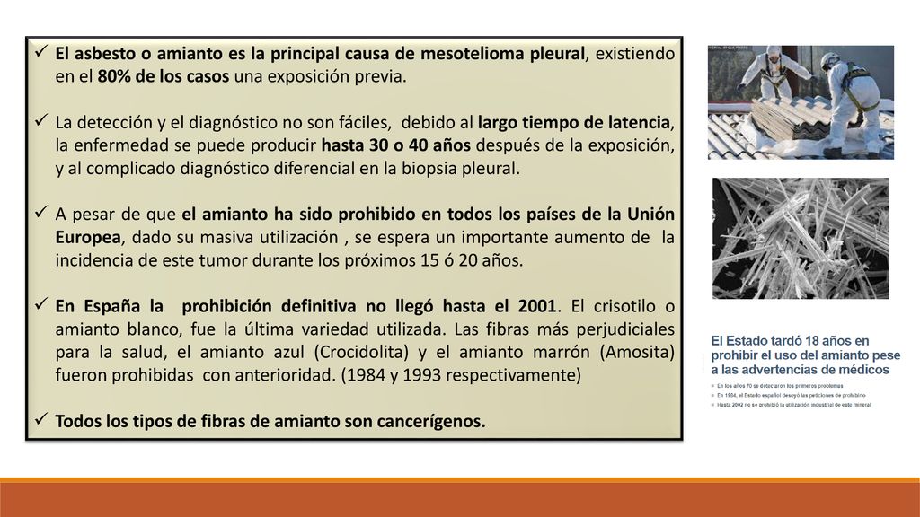 El asbesto o amianto es la principal causa de mesotelioma pleural, existiendo en el 80% de los casos una exposición previa.