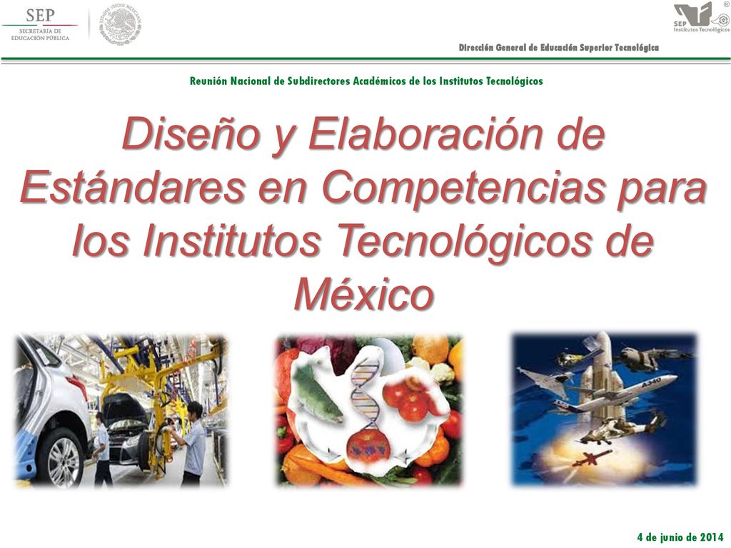 Diseño y Elaboración de Estándares en Competencias para los Institutos Tecnológicos de México