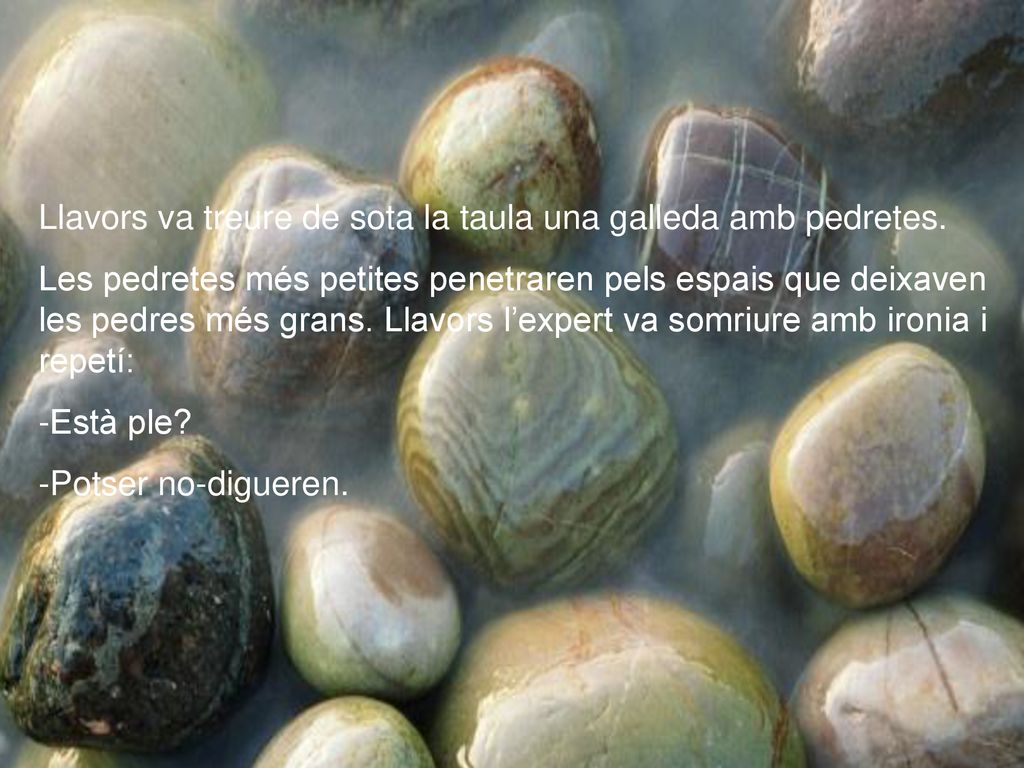 Llavors va treure de sota la taula una galleda amb pedretes.