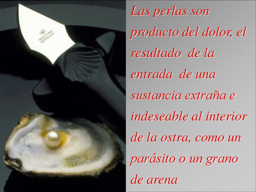 Las perlas son producto del dolor, el resultado de la entrada de una sustancia extraña e indeseable al interior de la ostra, como un parásito o un grano de arena
